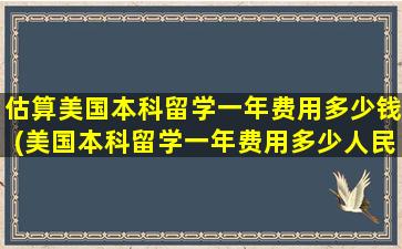 估算美国本科留学一年费用多少钱(美国本科留学一年费用多少人民币)