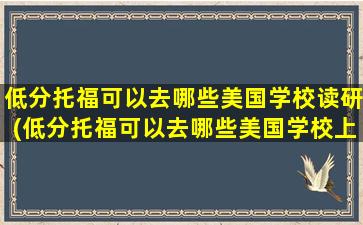 低分托福可以去哪些美国学校读研(低分托福可以去哪些美国学校上学)