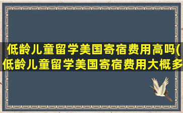 低龄儿童留学美国寄宿费用高吗(低龄儿童留学美国寄宿费用大概多少)