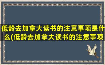 低龄去加拿大读书的注意事项是什么(低龄去加拿大读书的注意事项)