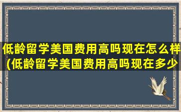 低龄留学美国费用高吗现在怎么样(低龄留学美国费用高吗现在多少)