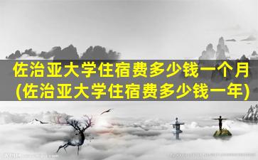 佐治亚大学住宿费多少钱一个月(佐治亚大学住宿费多少钱一年)