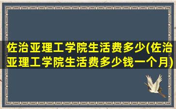 佐治亚理工学院生活费多少(佐治亚理工学院生活费多少钱一个月)