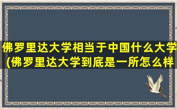 佛罗里达大学相当于中国什么大学(佛罗里达大学到底是一所怎么样的大学呢英文)