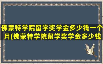 佛蒙特学院留学奖学金多少钱一个月(佛蒙特学院留学奖学金多少钱啊)