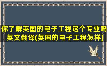 你了解英国的电子工程这个专业吗英文翻译(英国的电子工程怎样)