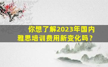 你想了解2023年国内雅思培训费用新变化吗？