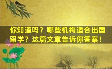 你知道吗？哪些机构适合出国留学？这篇文章告诉你答案！