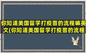 你知道美国留学打疫苗的流程嘛英文(你知道美国留学打疫苗的流程嘛英文翻译)