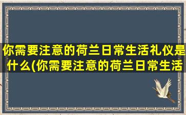 你需要注意的荷兰日常生活礼仪是什么(你需要注意的荷兰日常生活礼仪英语)