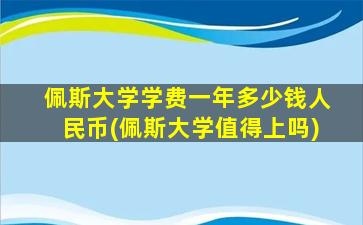 佩斯大学学费一年多少钱人民币(佩斯大学值得上吗)