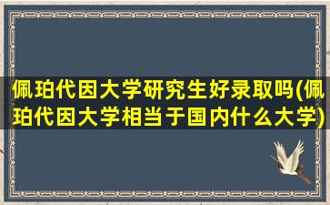 佩珀代因大学研究生好录取吗(佩珀代因大学相当于国内什么大学)