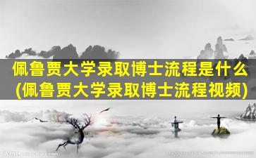 佩鲁贾大学录取博士流程是什么(佩鲁贾大学录取博士流程视频)