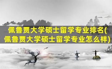 佩鲁贾大学硕士留学专业排名(佩鲁贾大学硕士留学专业怎么样)