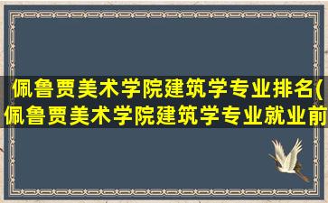 佩鲁贾美术学院建筑学专业排名(佩鲁贾美术学院建筑学专业就业前景)