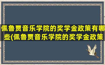 佩鲁贾音乐学院的奖学金政策有哪些(佩鲁贾音乐学院的奖学金政策怎么样)