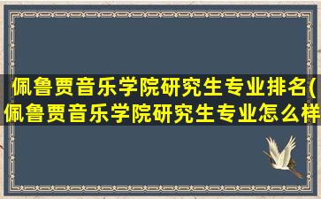 佩鲁贾音乐学院研究生专业排名(佩鲁贾音乐学院研究生专业怎么样)