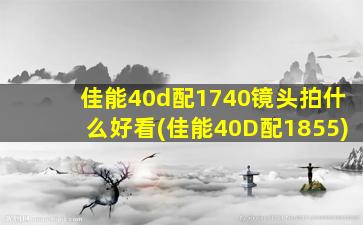 佳能40d配1740镜头拍什么好看(佳能40D配1855)