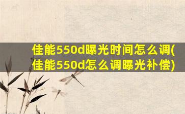 佳能550d曝光时间怎么调(佳能550d怎么调曝光补偿)