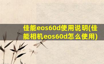 佳能eos60d使用说明(佳能相机eos60d怎么使用)