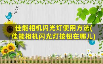 佳能相机闪光灯使用方法(佳能相机闪光灯按钮在哪儿)