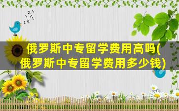 俄罗斯中专留学费用高吗(俄罗斯中专留学费用多少钱)