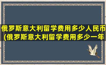 俄罗斯意大利留学费用多少人民币(俄罗斯意大利留学费用多少一年)