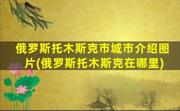 俄罗斯托木斯克市城市介绍图片(俄罗斯托木斯克在哪里)