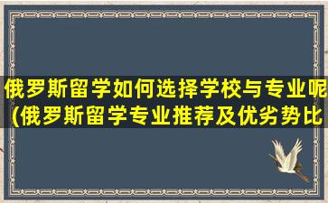 俄罗斯留学如何选择学校与专业呢(俄罗斯留学专业推荐及优劣势比较)