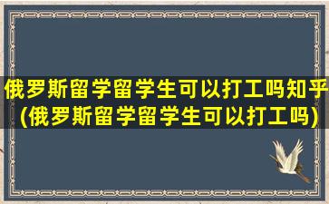 俄罗斯留学留学生可以打工吗知乎(俄罗斯留学留学生可以打工吗)