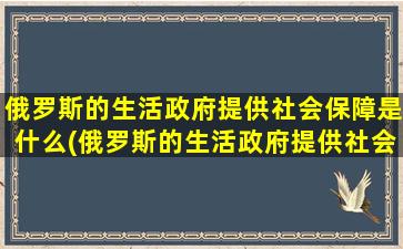 俄罗斯的生活政府提供社会保障是什么(俄罗斯的生活政府提供社会保障嘛)