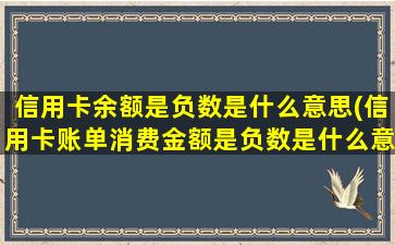 信用卡余额是负数是什么意思(信用卡账单消费金额是负数是什么意思)