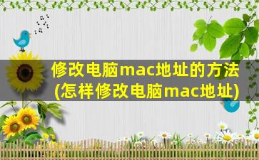 修改电脑mac地址的方法(怎样修改电脑mac地址)