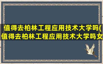 值得去柏林工程应用技术大学吗(值得去柏林工程应用技术大学吗女生)