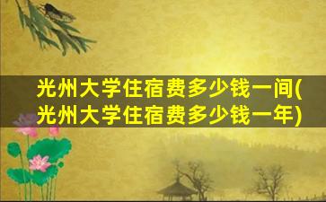 光州大学住宿费多少钱一间(光州大学住宿费多少钱一年)