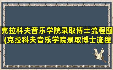 克拉科夫音乐学院录取博士流程图(克拉科夫音乐学院录取博士流程视频)