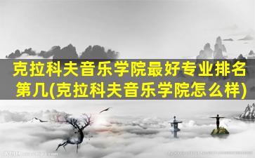 克拉科夫音乐学院最好专业排名第几(克拉科夫音乐学院怎么样)