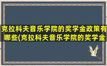 克拉科夫音乐学院的奖学金政策有哪些(克拉科夫音乐学院的奖学金政策怎么样)