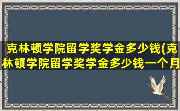 克林顿学院留学奖学金多少钱(克林顿学院留学奖学金多少钱一个月)