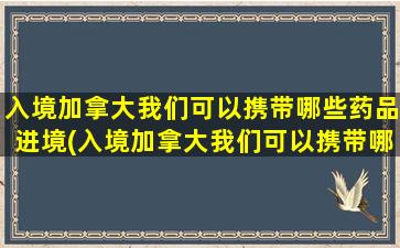 入境加拿大我们可以携带哪些药品进境(入境加拿大我们可以携带哪些药品进去)