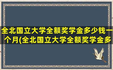 全北国立大学全额奖学金多少钱一个月(全北国立大学全额奖学金多少钱啊)