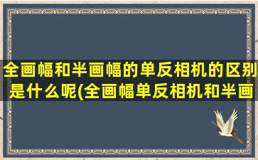 全画幅和半画幅的单反相机的区别是什么呢(全画幅单反相机和半画幅单反相机并没有什么区别)