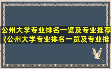 公州大学专业排名一览及专业推荐(公州大学专业排名一览及专业推荐名单)