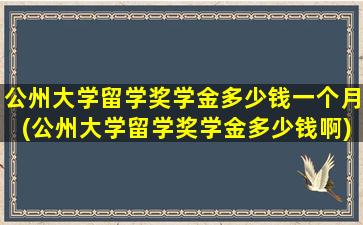 公州大学留学奖学金多少钱一个月(公州大学留学奖学金多少钱啊)