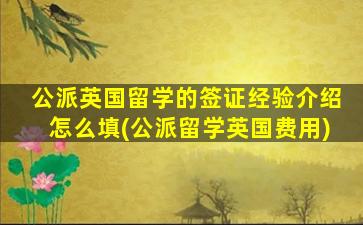 公派英国留学的签证经验介绍怎么填(公派留学英国费用)