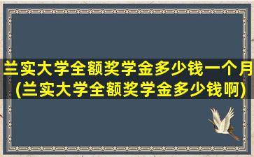 兰实大学全额奖学金多少钱一个月(兰实大学全额奖学金多少钱啊)