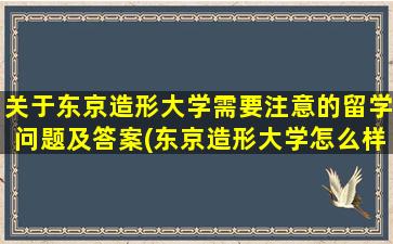 关于东京造形大学需要注意的留学问题及答案(东京造形大学怎么样)