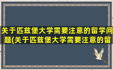 关于匹兹堡大学需要注意的留学问题(关于匹兹堡大学需要注意的留学问题有)