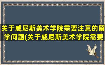 关于威尼斯美术学院需要注意的留学问题(关于威尼斯美术学院需要注意的留学问题有哪些)