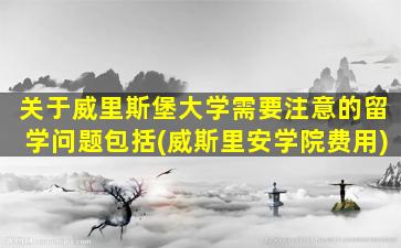 关于威里斯堡大学需要注意的留学问题包括(威斯里安学院费用)